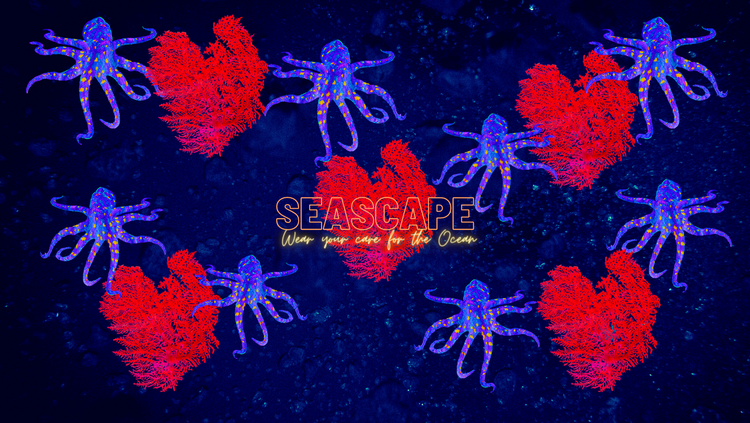 SEASCAPE T SHIRTS