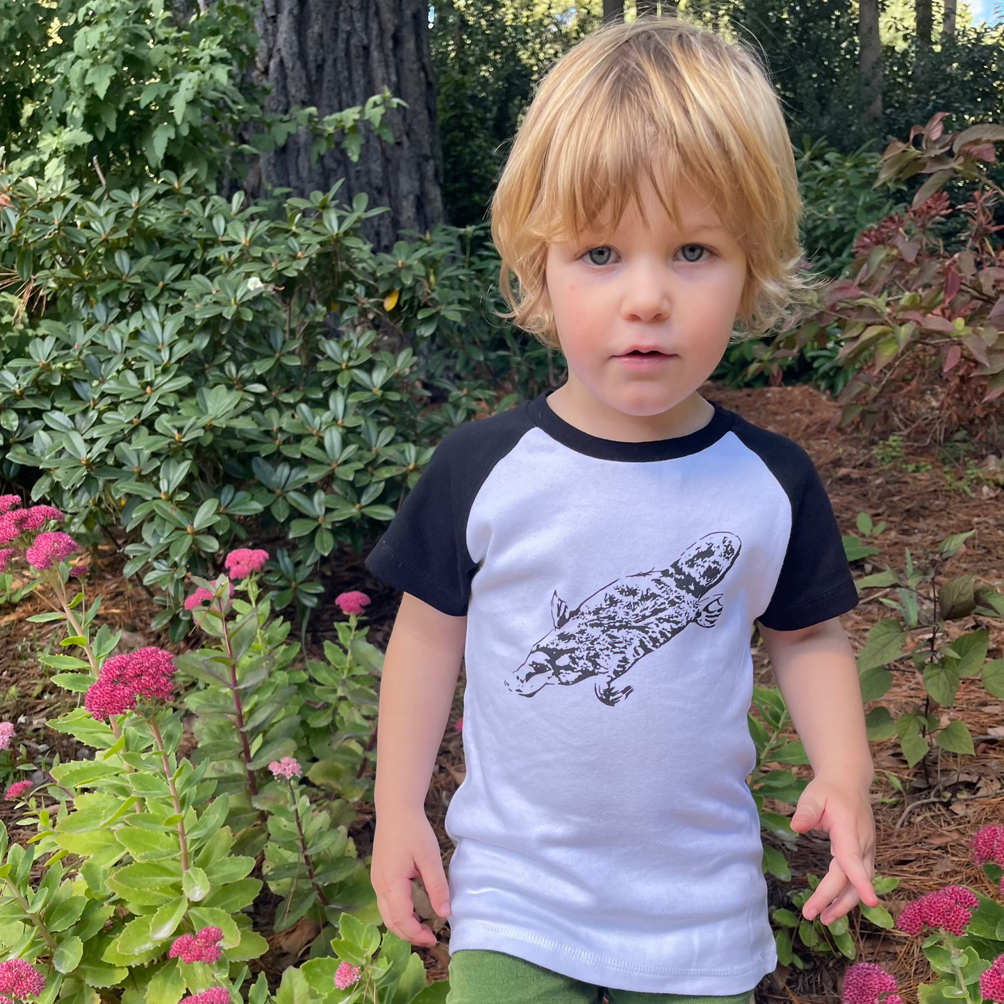 Platypus Kids Raglan T shirt