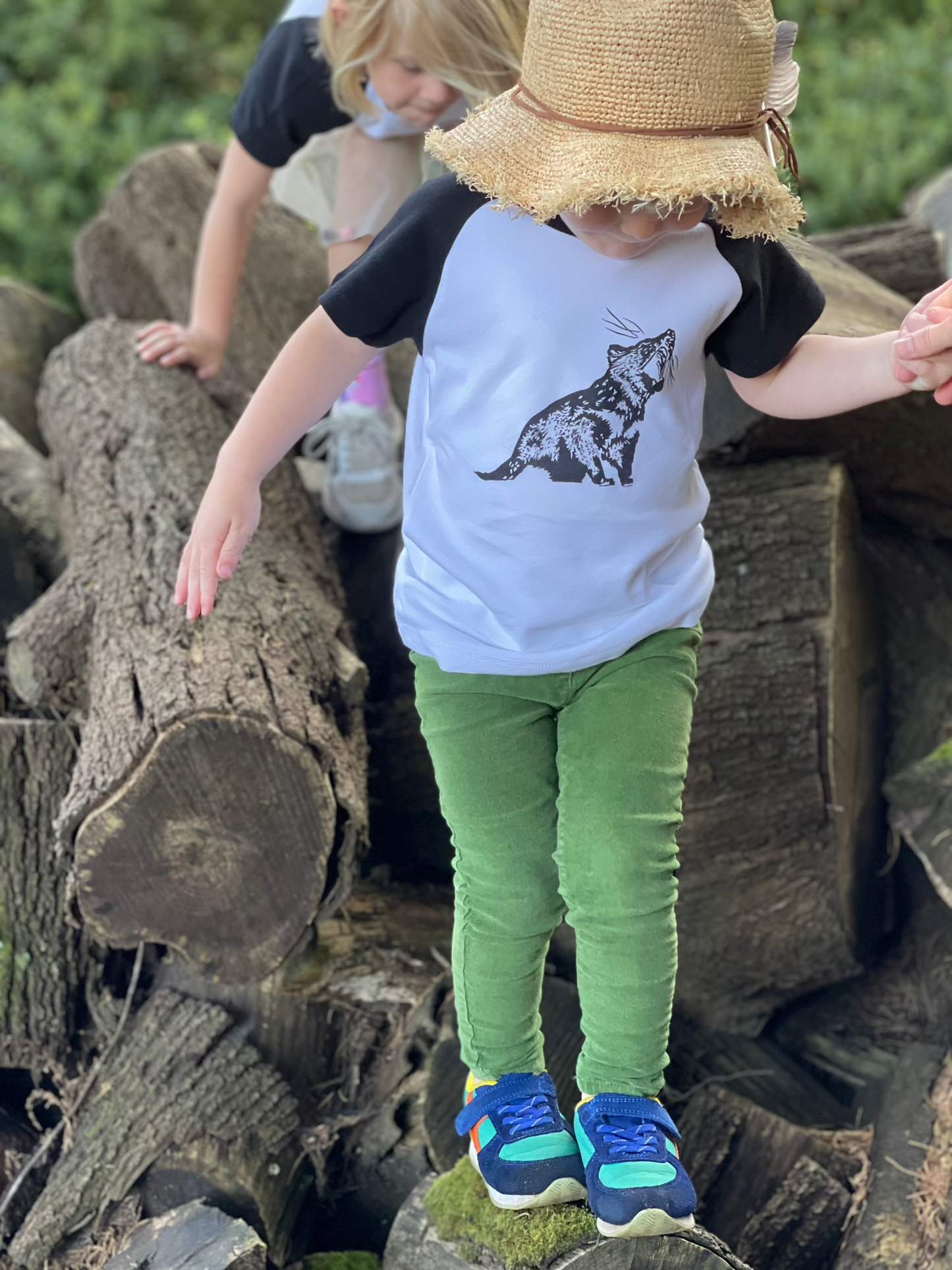 Tassie Devil Raglan T shirt 2