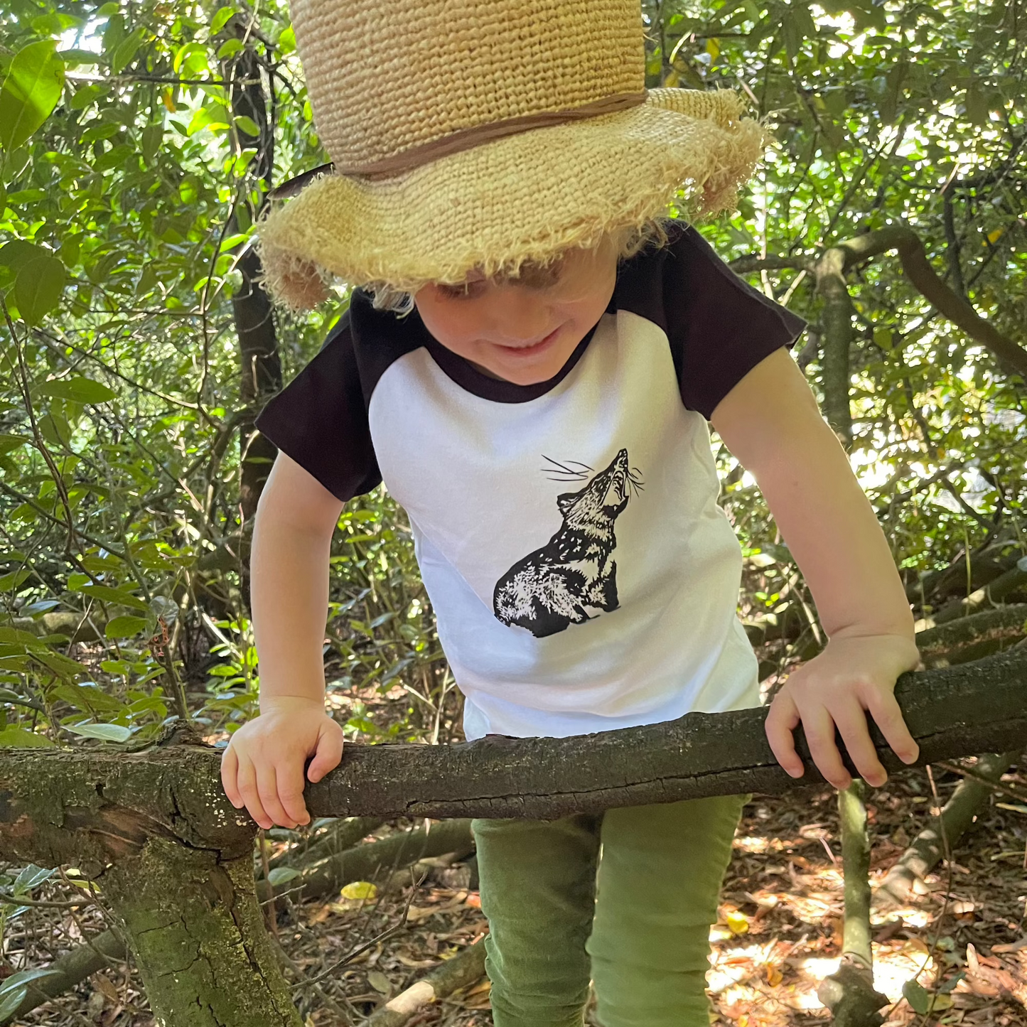 Tassie Devil T shirt Kids