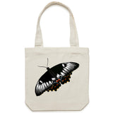 Orchid Butterfly