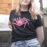 Spider Crab