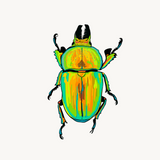 Golden Stag Beetle Original Artwork