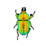 Golden Stag Beetle T shirt