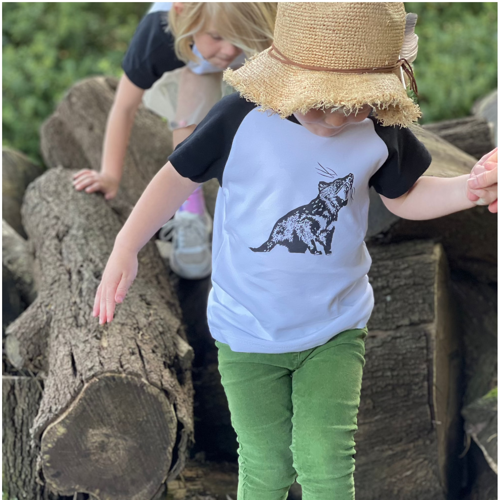 Tassie Devil Raglan T shirt 2