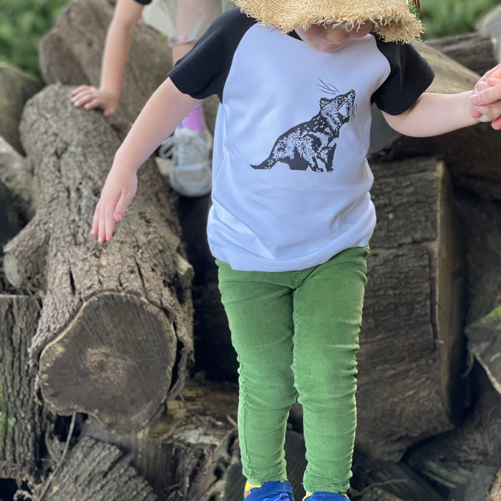 Tassie Devil Raglan T shirt 2