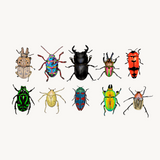 The Beetles design by High Tees