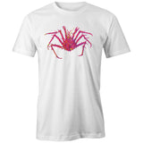 Spider Crab
