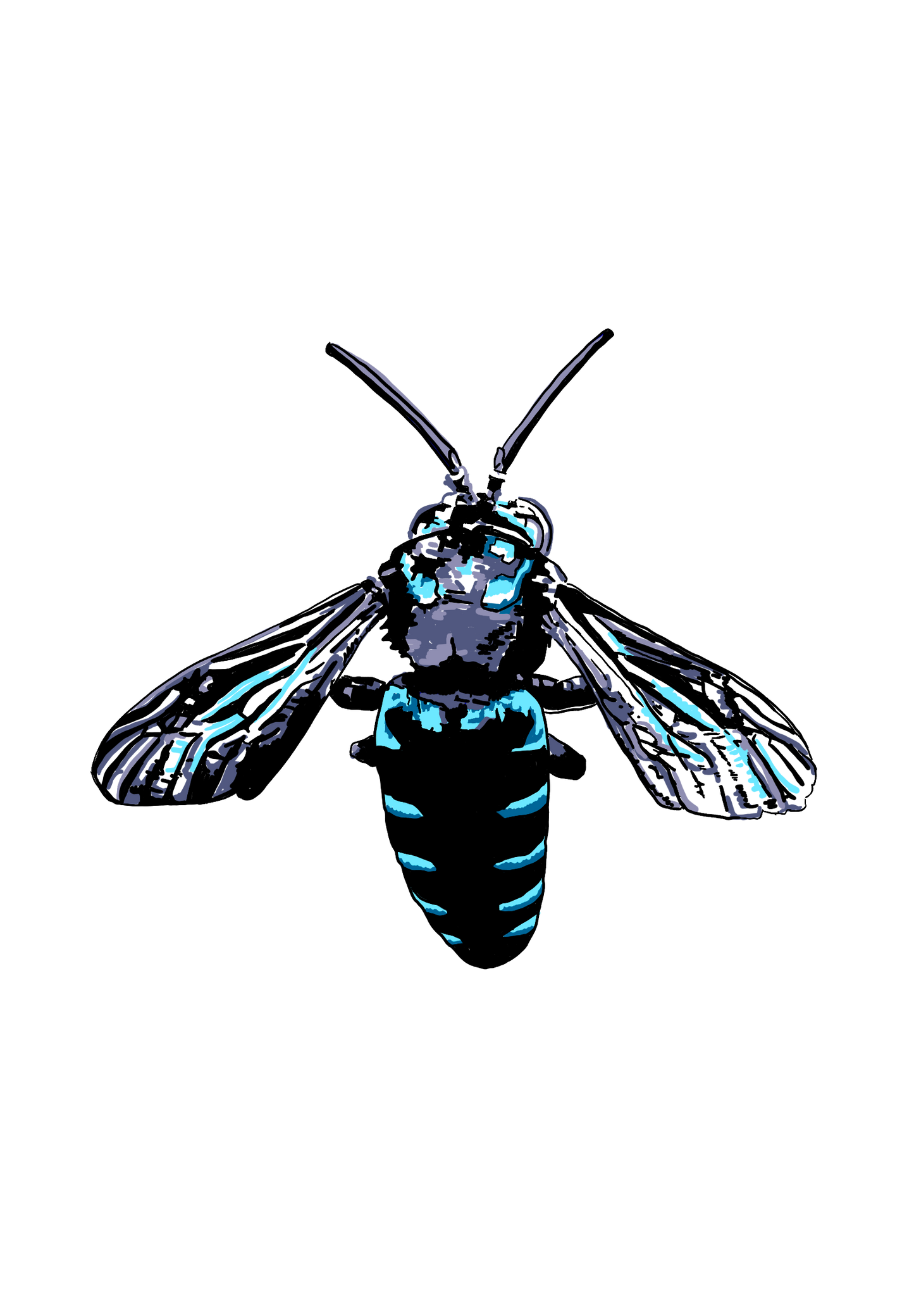 Blue Cuckoo Bee T shirt