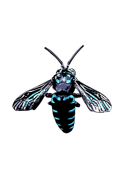 Blue Cuckoo Bee T shirt