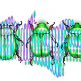 Christmas Beetle T shirt